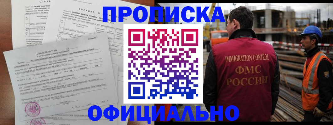 прописка поиск в Камышине